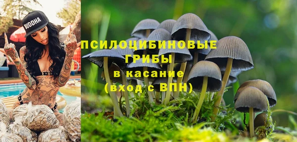 ALPHA-PVP Алзамай