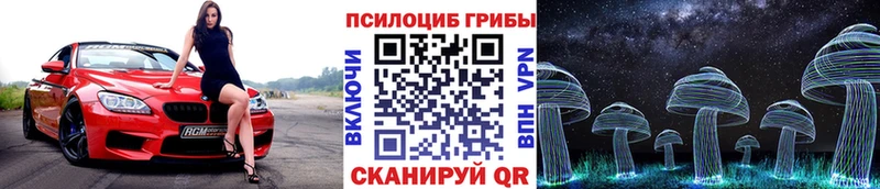 Галлюциногенные грибы Psilocybe мега зеркало Новокубанск